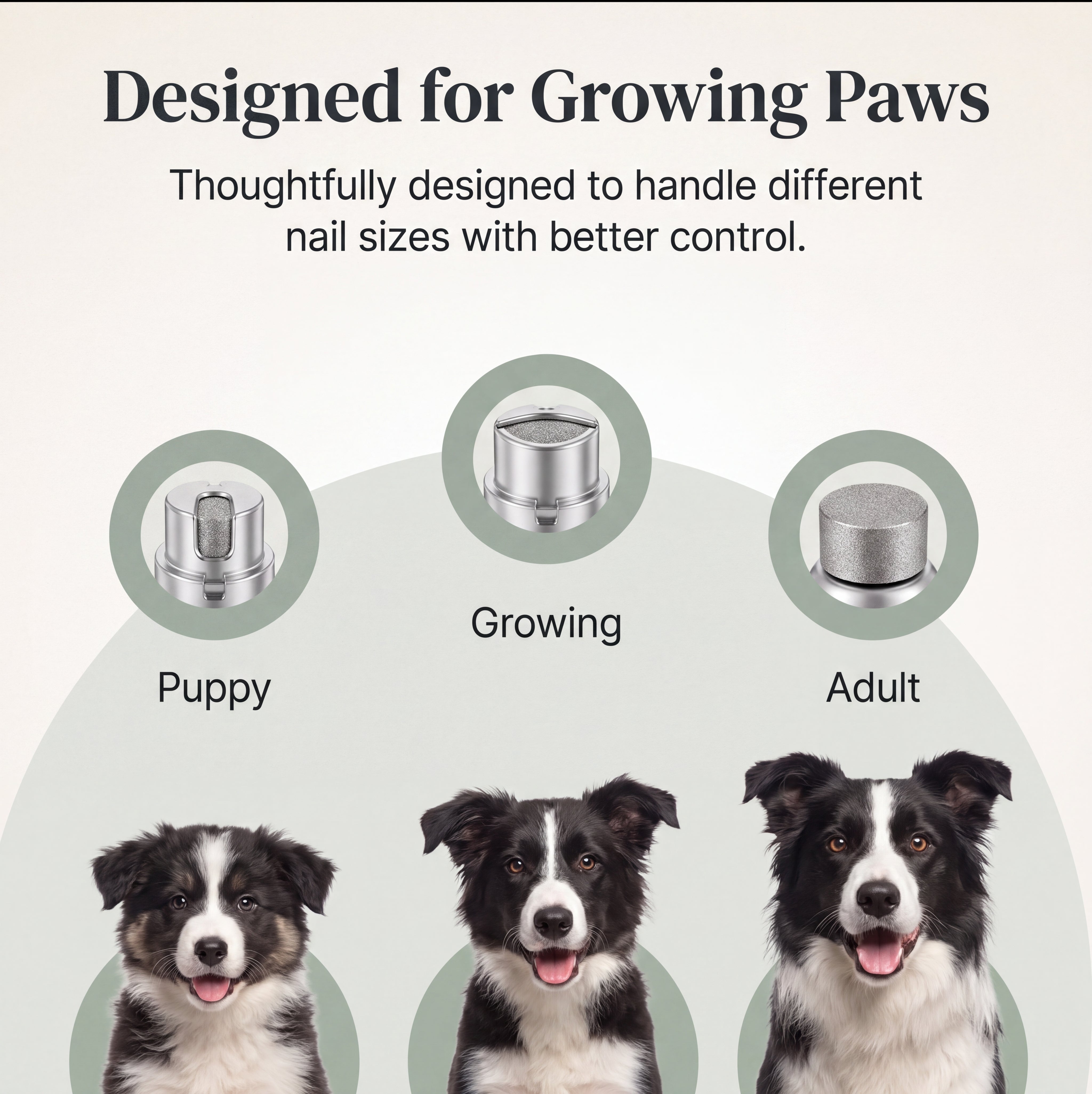 Pawlytic Lab QuickScan Pro™ See The Quick. Before You Cut.
