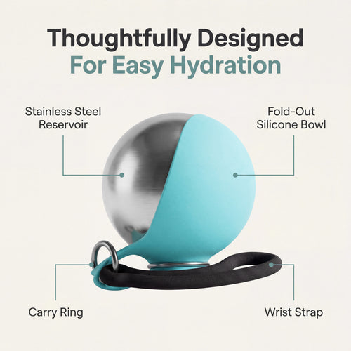Pawlytic Lab HydroLoop™ — Less Gear. More Walk.